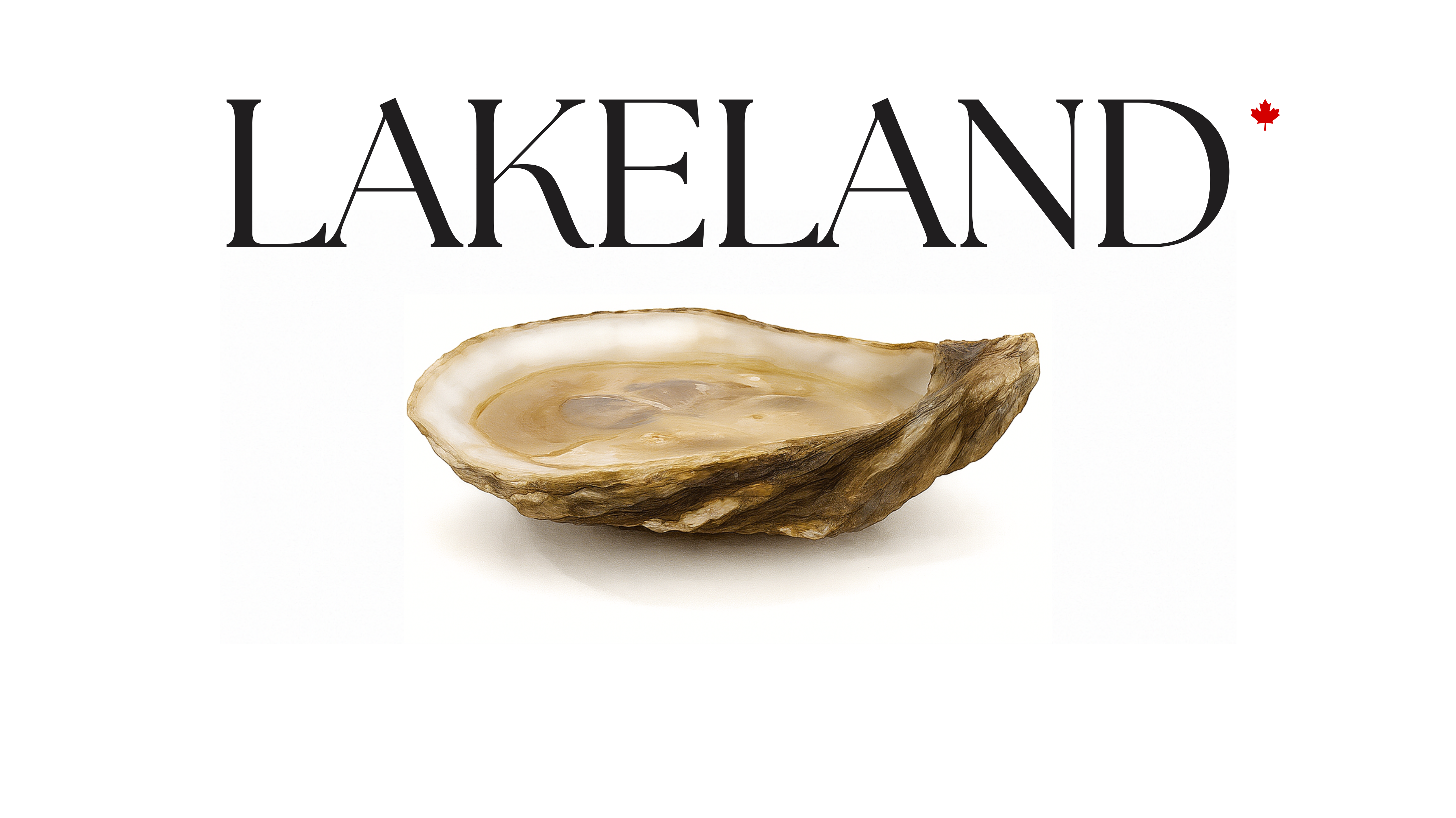 Lakeland Market Hero